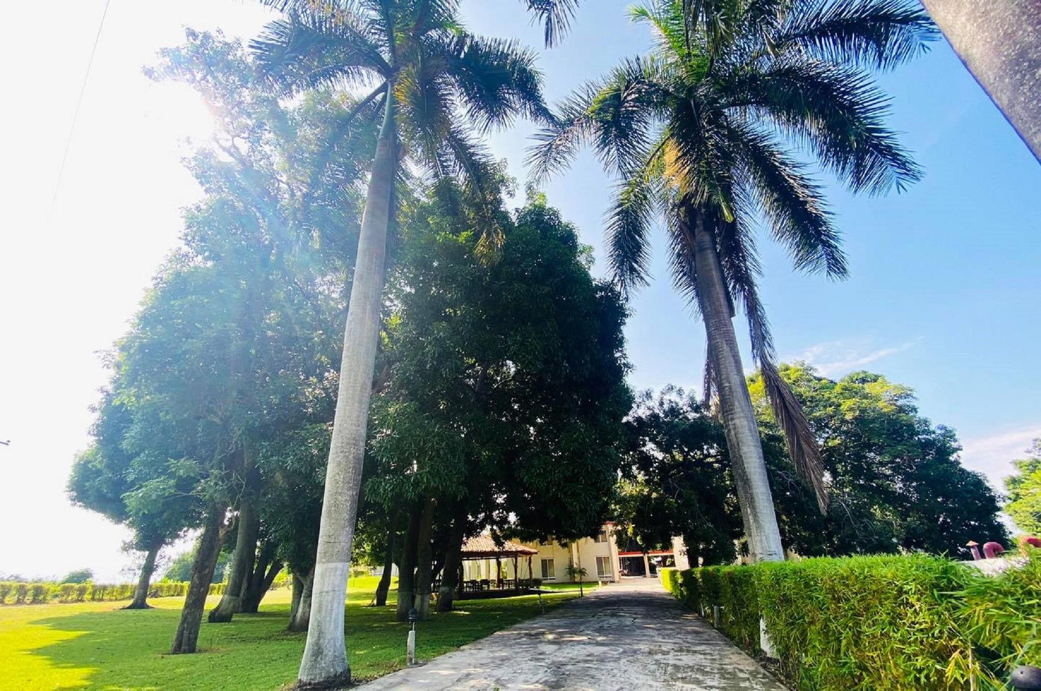 Loma Real Hotel